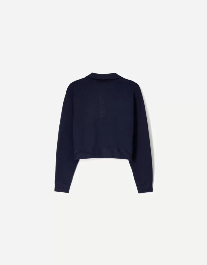 Pulover cu guler polo Pulover cu guler polo