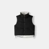 Vesta reversibila Vesta reversibila