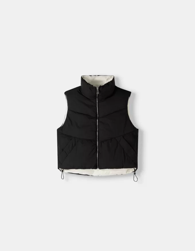 Vesta reversibila Vesta reversibila
