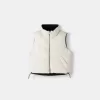 Vesta reversibila Vesta reversibila