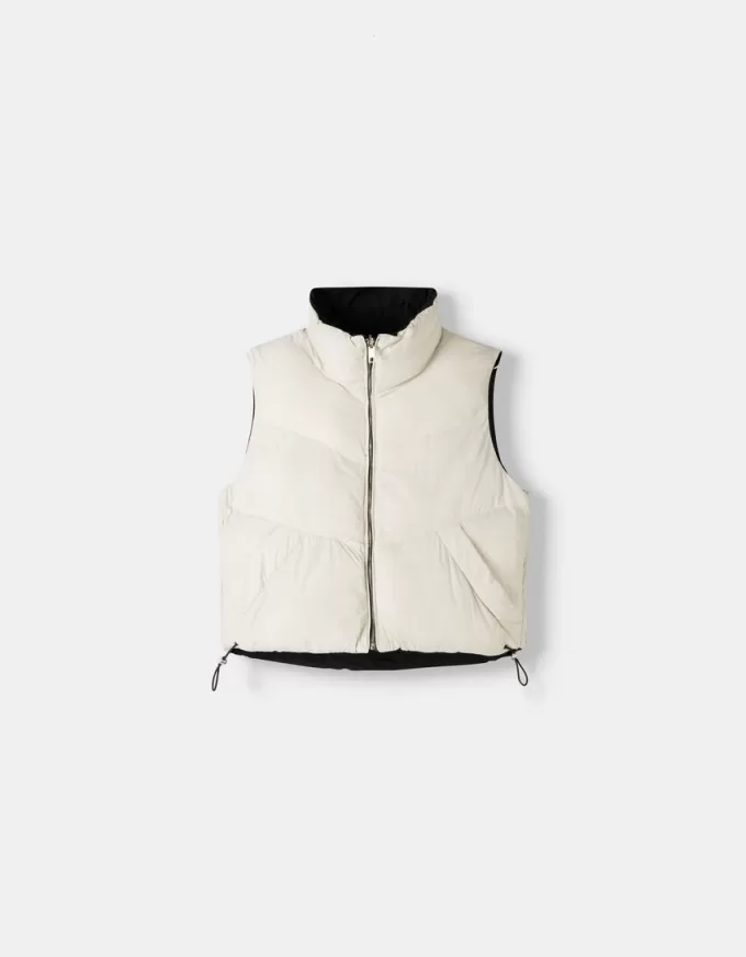 Vesta reversibila Vesta reversibila